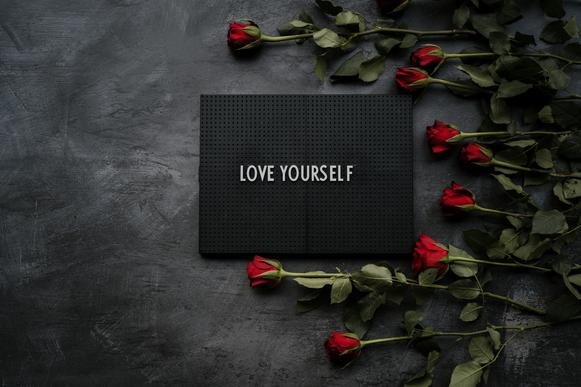Self-Improver